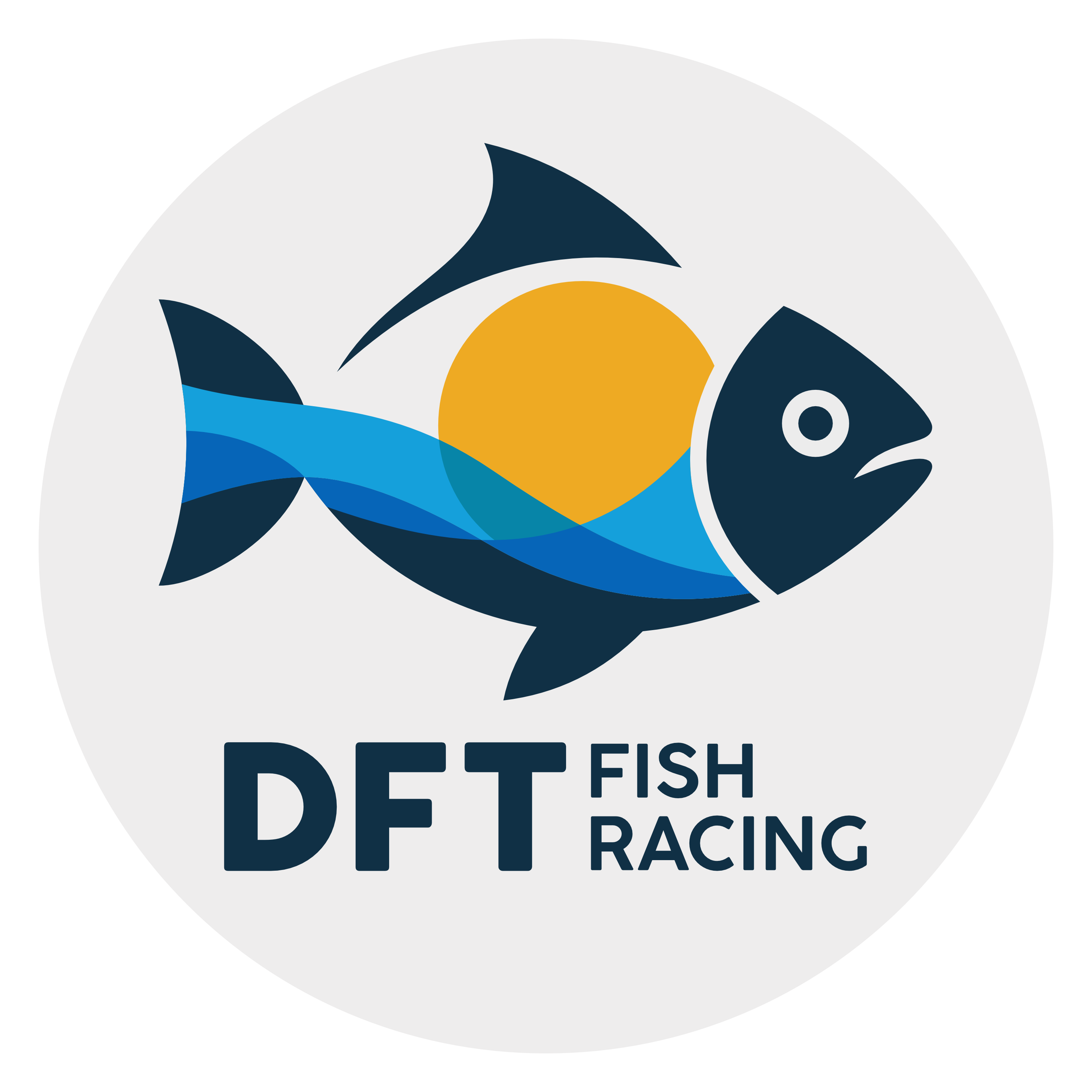 Logo for the DFT Fish Racing Solar Boat Group
